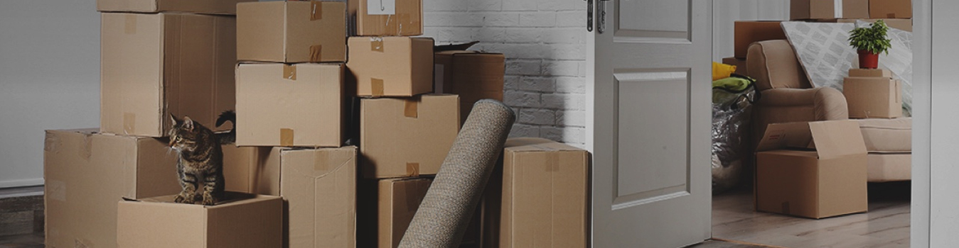 Packers and Movers in kolkata and Bhubaneswar